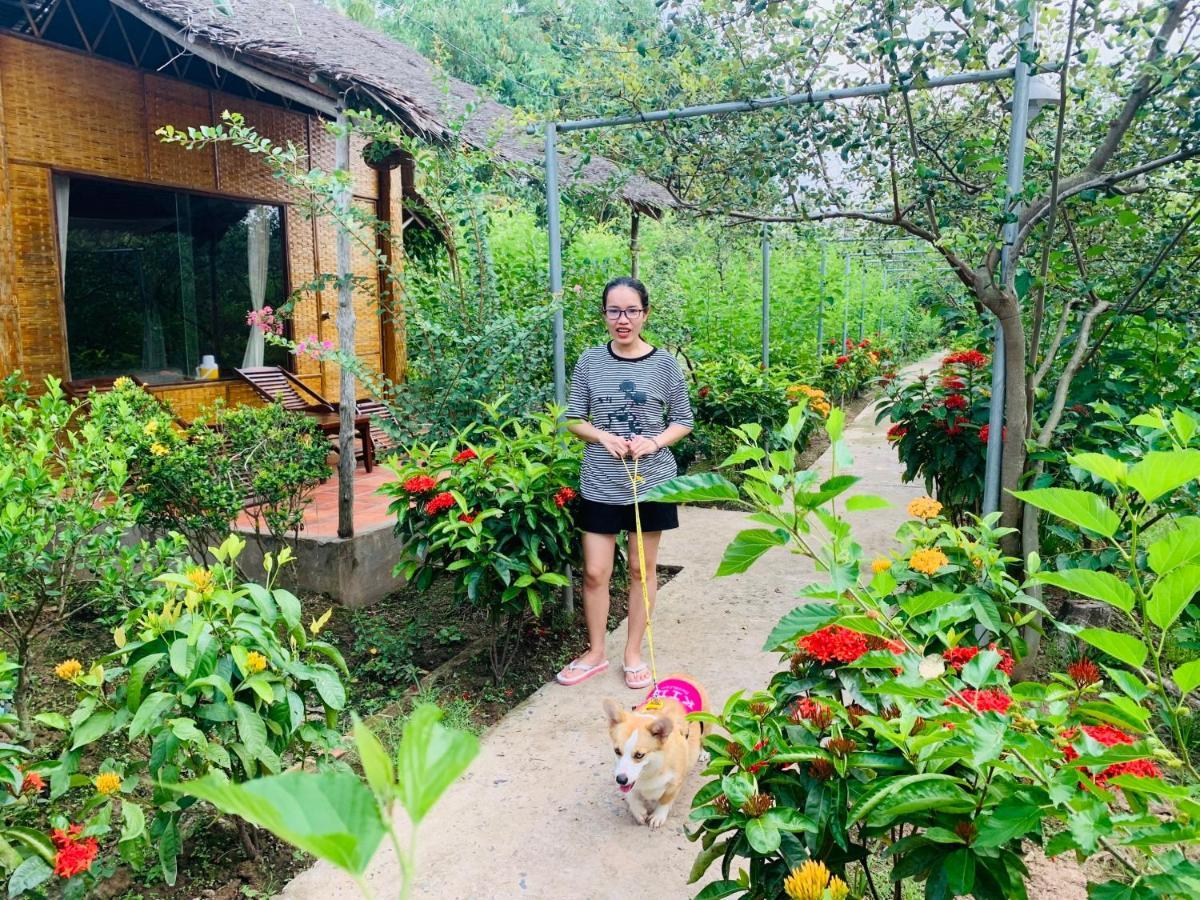 Mekong Ecolodge Bungalow Cái Bè Extérieur photo